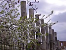 italie09_1309.jpg
