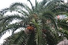 italie09_3320.jpg