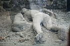 italie09_4323.jpg